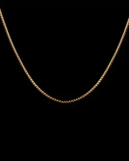 Golden Snake Chain